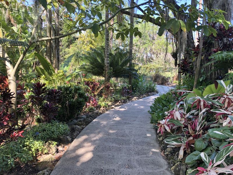 Harry P. Leu Gardens (Orlando)