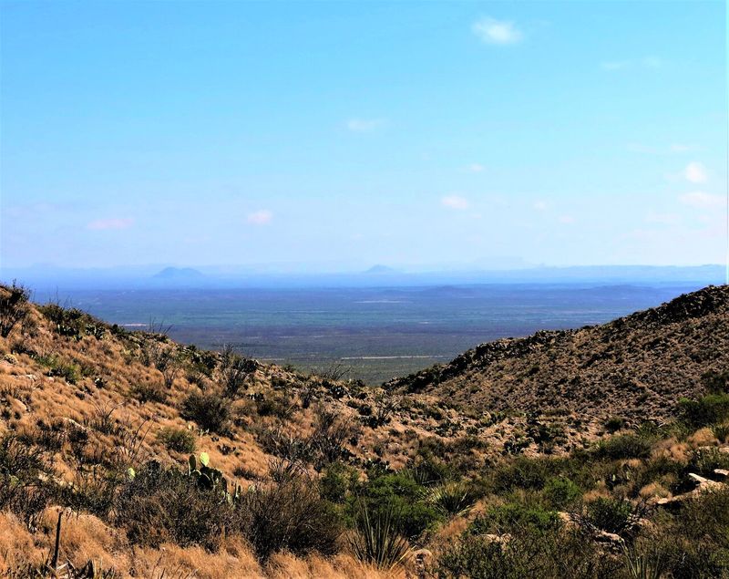 Persimmon Gap and Northern Desert