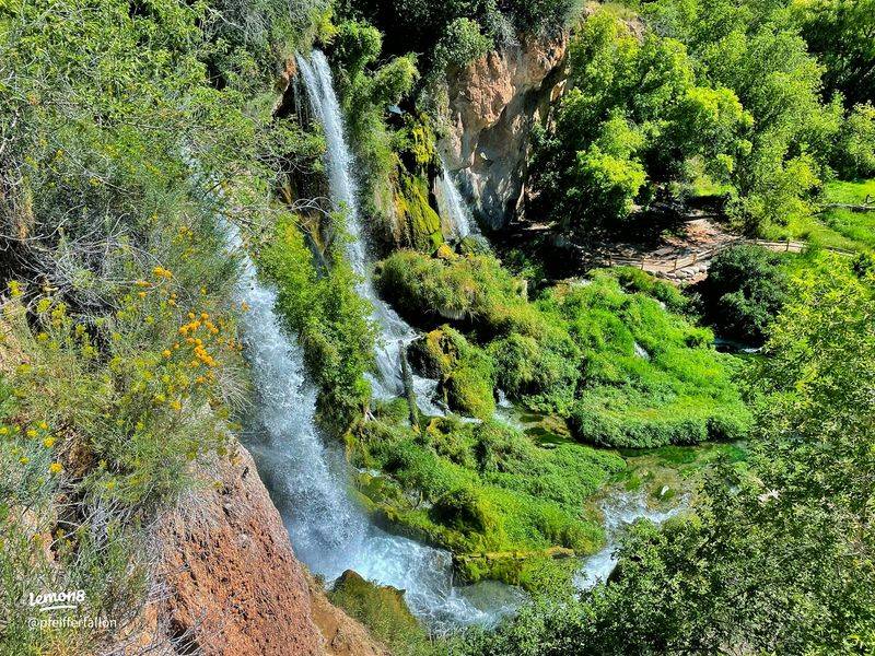 Rifle Falls: The Triple Cascade