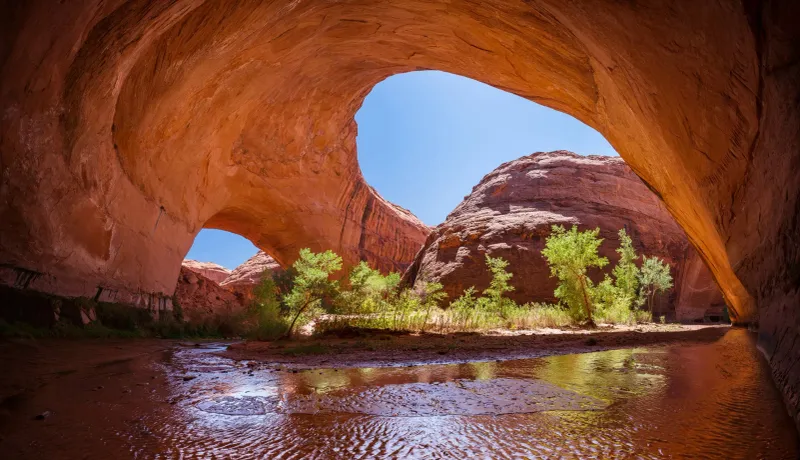 Escalante Grand Staircase National Monument: Slot Canyon Paradise