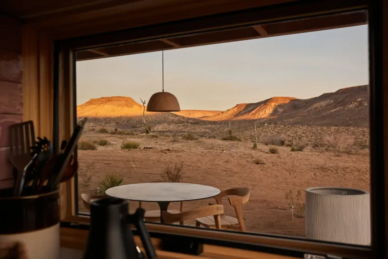 The Ocotillo: Desert Mountain Solitude