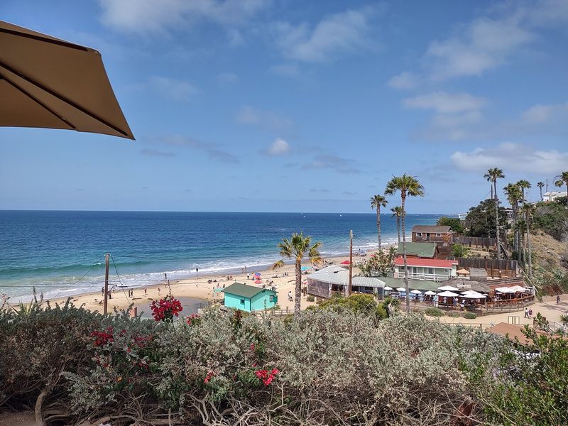 Crystal Cove Shake Shack (Newport Beach)