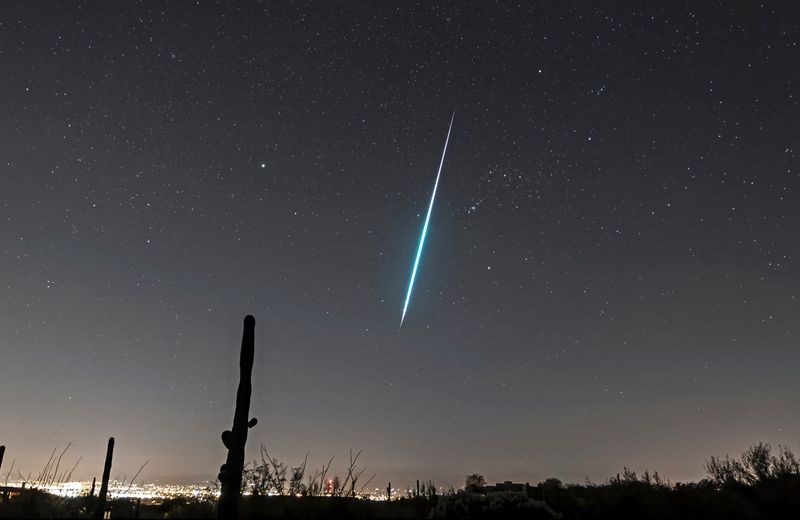 Minor Meteor Activity and Other Night Sky Surprises
