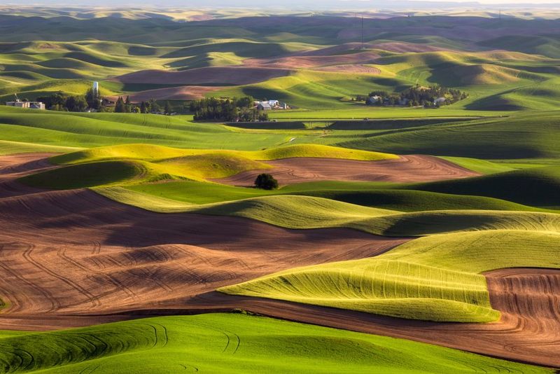 Palouse Scenic Byway: Rolling Waves of Earth