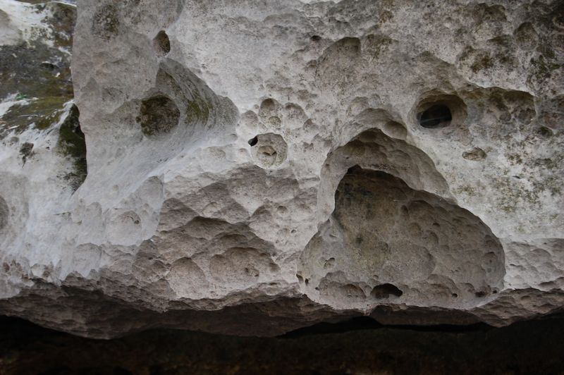 Limestone Quarry Walls (Ocala & Miami area)