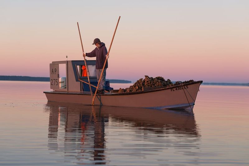 Apalachicola’s Oyster Heritage and River Views