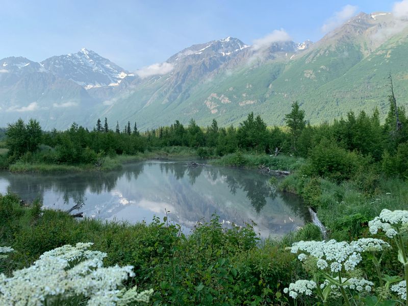 Anchorage, Alaska: Wilderness Within City Limits