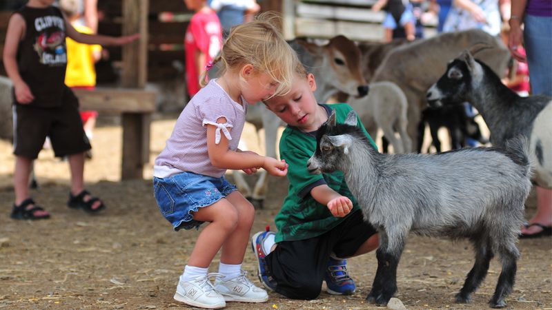 Lake Tobias Wildlife Park in Halifax