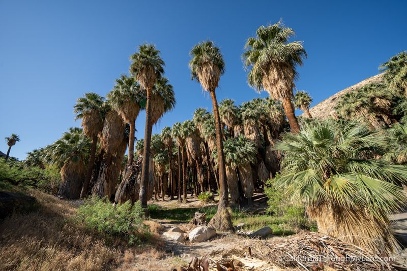 Indian Canyons