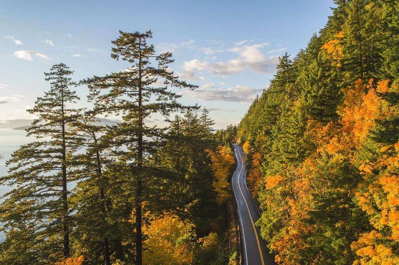 Chuckanut Drive: Where Mountains Meet the Sea