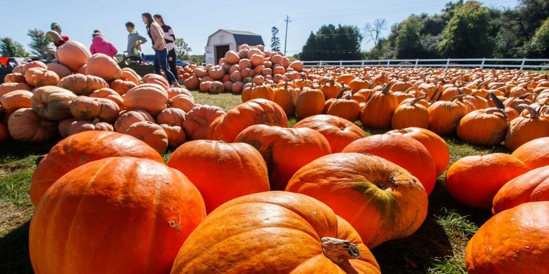 Basse’s Taste of Country in Colgate