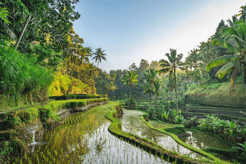 Soul-Searching in Bali