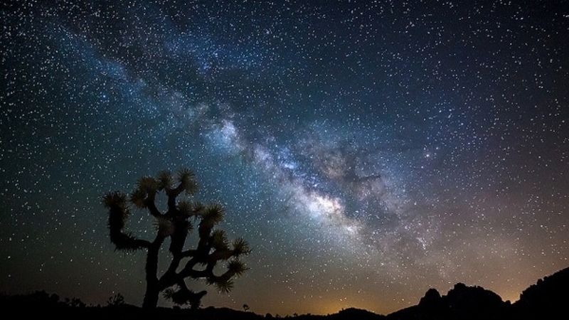 Mojave National Preserve