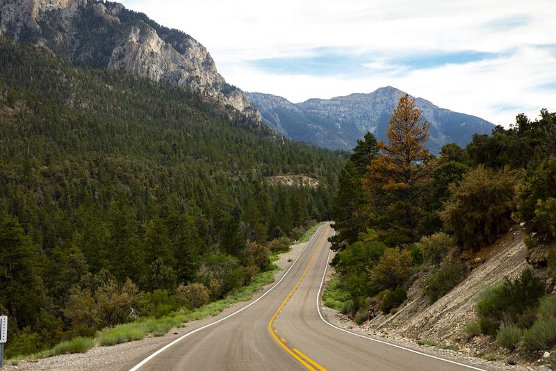 Mount Charleston Scenic Byway