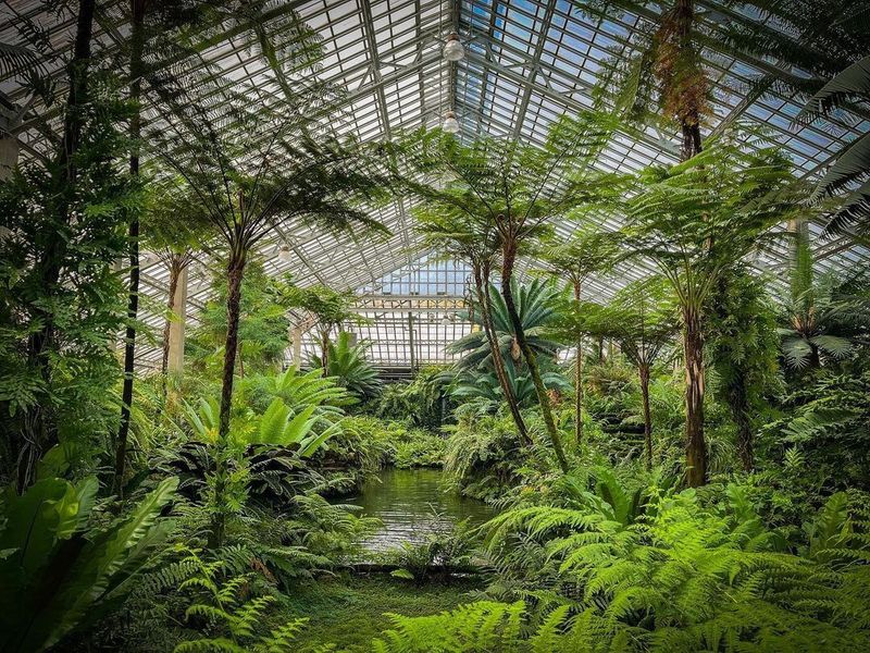 Garfield Park Conservatory