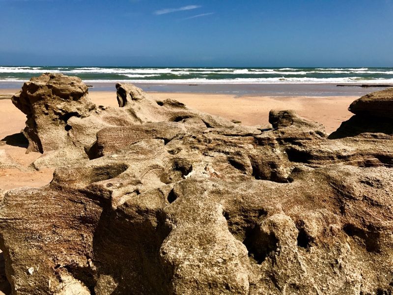 Washington Oaks Gardens State Park (Palm Coast)