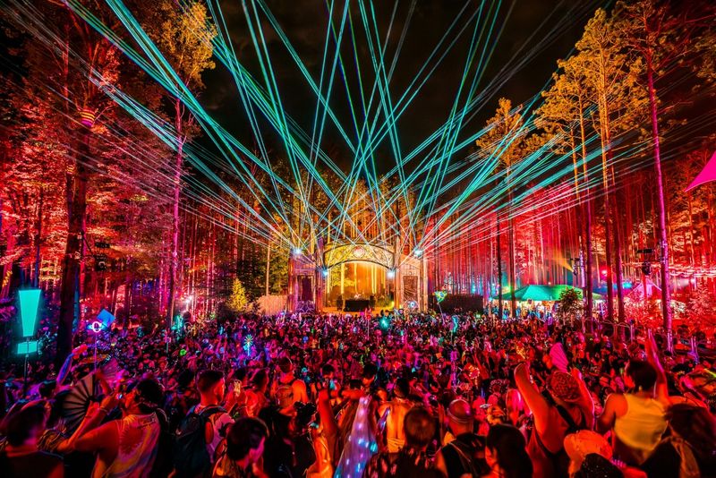 Electric Forest