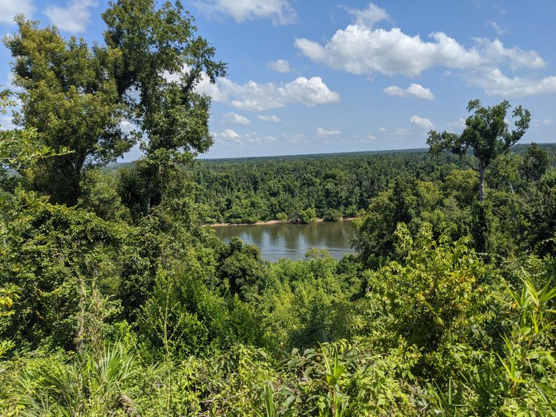 Torreya State Park: Florida's Mini-Mountain Getaway