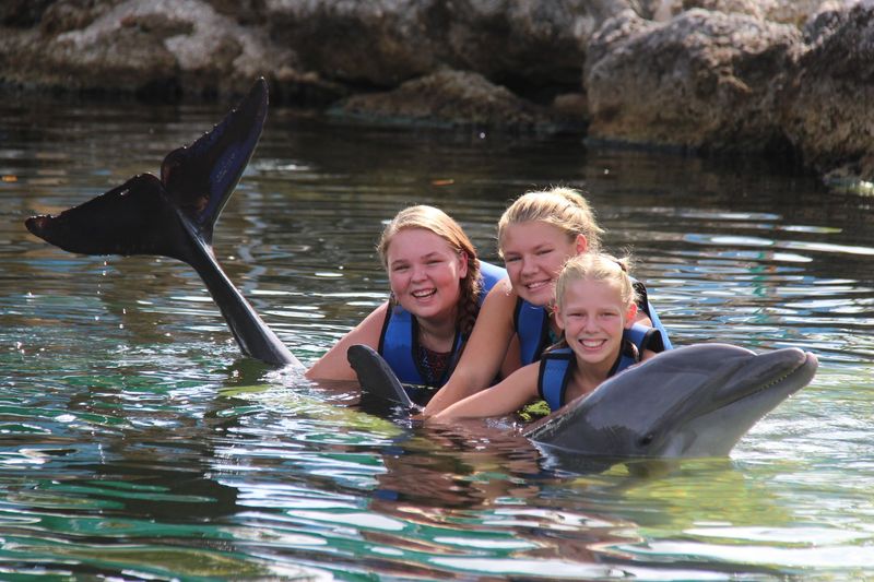 Dolphins Plus Bayside in Key Largo