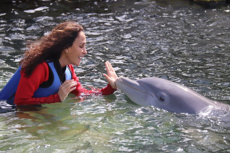 Dolphin Cove in Key Largo