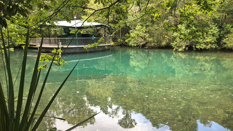 Homosassa Springs Wildlife State Park