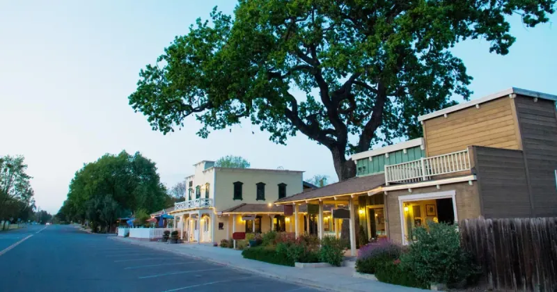 Los Olivos