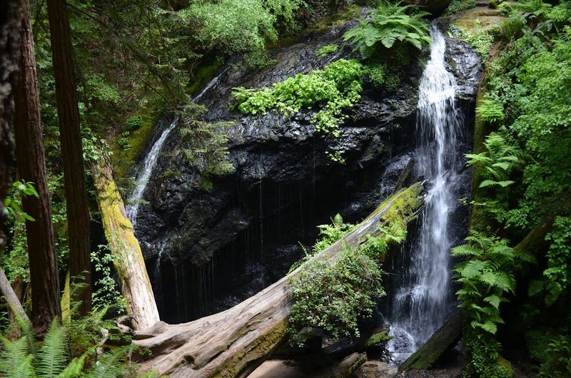 Russian Gulch State Park