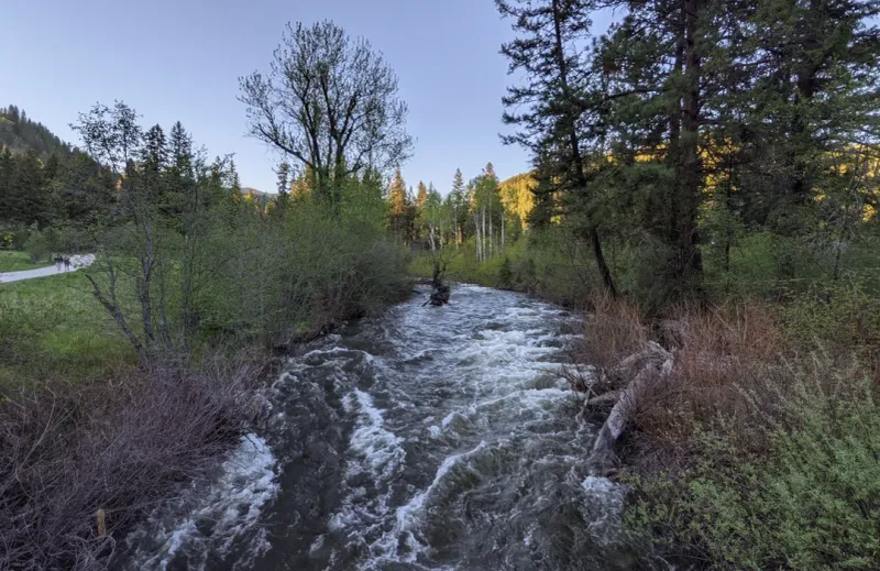 Rattlesnake Recreation Area – Front-Country Forest Walk