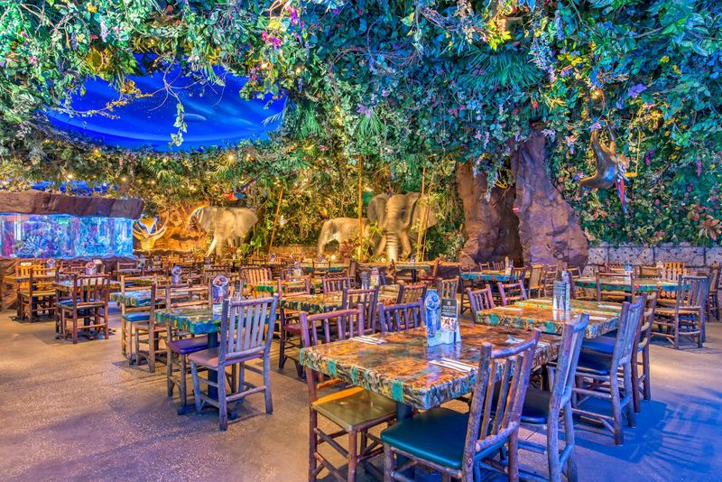A Jungle-Themed Escape for Families