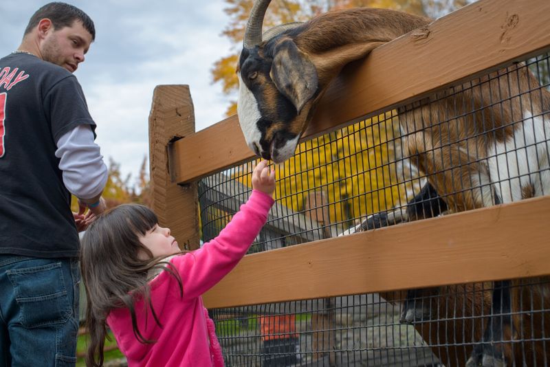 Lehigh Valley Zoo in Schnecksville
