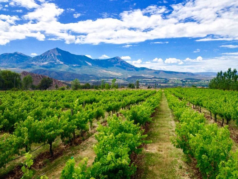 Paonia: Organic Farms and Artistic Soul