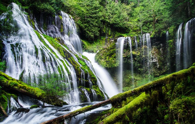 Panther Creek Falls: Nature's Perfect Amphitheater