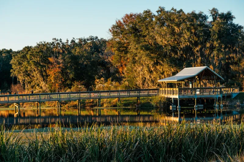 Sweetwater Wetlands Park: Safari-Style Wildlife Watching