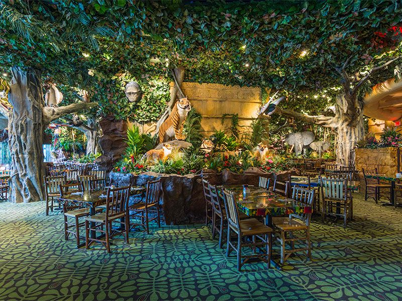 A Canopy Overhead That Sets the Scene