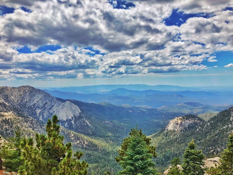 Idyllwild's Alpine Adventure