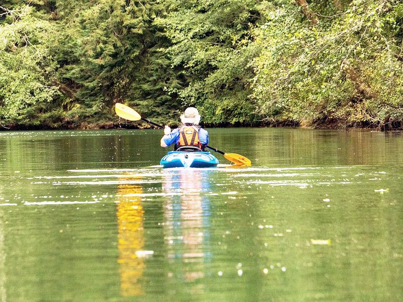 Esopus Creek (Catskills)
