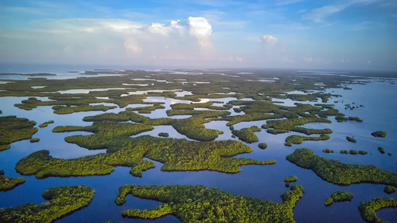 Gulf Coast Visitor Center – Everglades City
