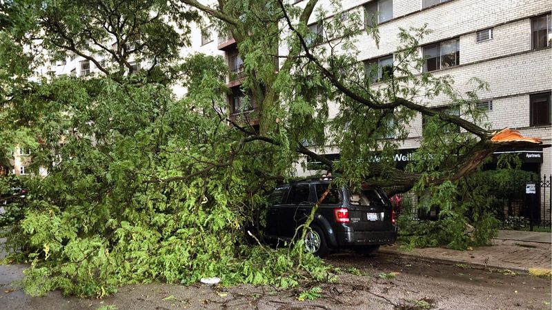 Derecho Drama
