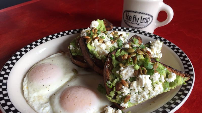 The Fly Trap – Ferndale