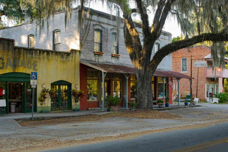 Micanopy: Southern Charm Frozen in Amber
