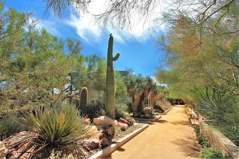 Springs Preserve Gardens