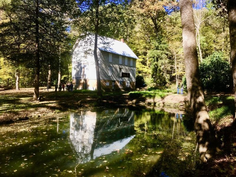Vishnu Springs, Ghost Town Turned Sanctuary