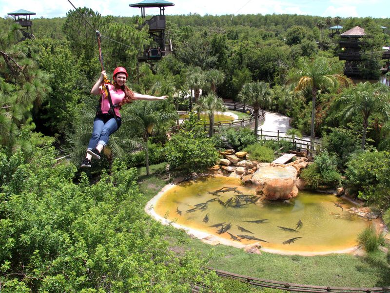 Gatorland's Screamin' Gator Zip Line