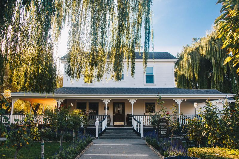Cline Family Cellars, Sonoma