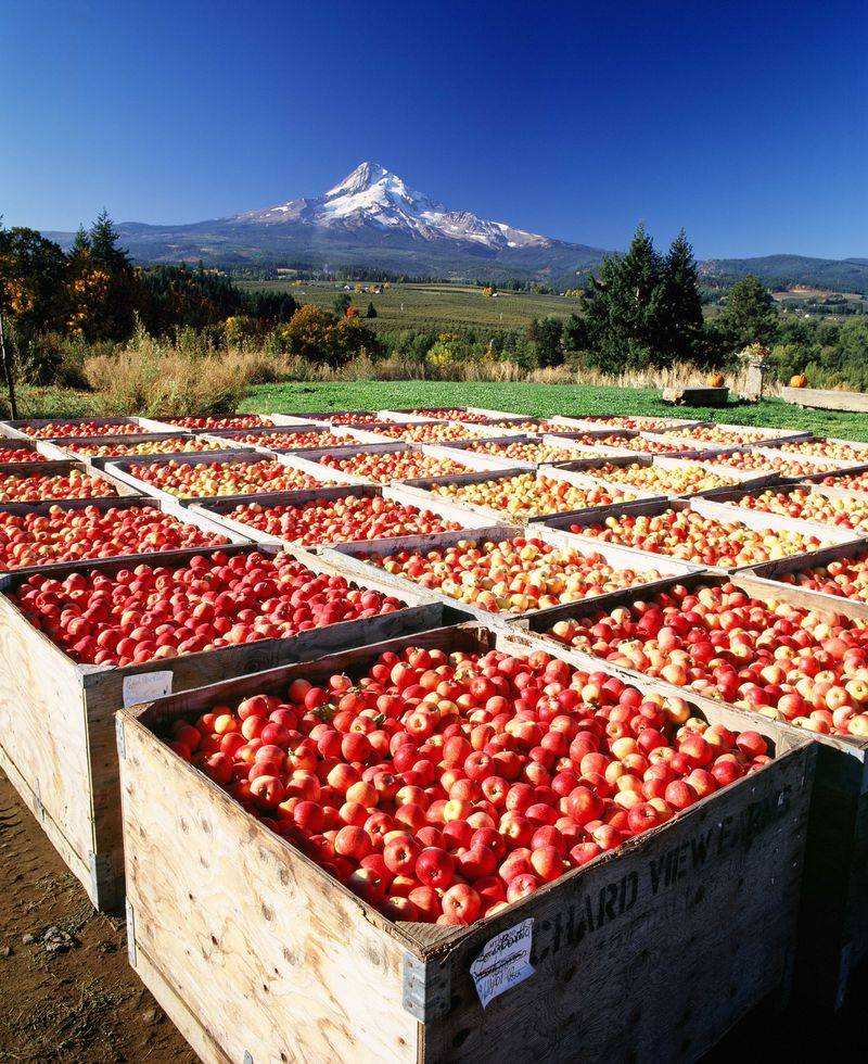 Seasonal Eating Transforms Your Relationship With Food