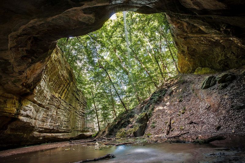 Starved Rock State Park's Majestic Canyons