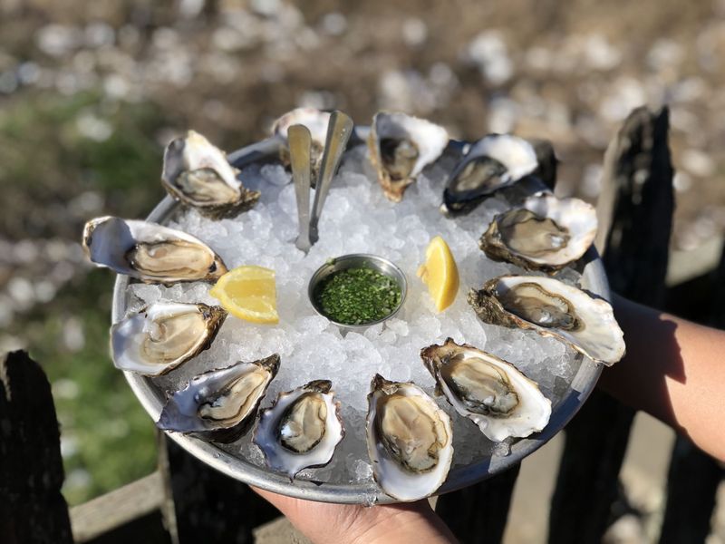 Oysters: Briny Treasures From Tomales Bay