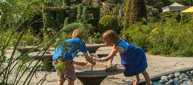 Huntington Library Gardens: Botanical Adventures and Tea Time