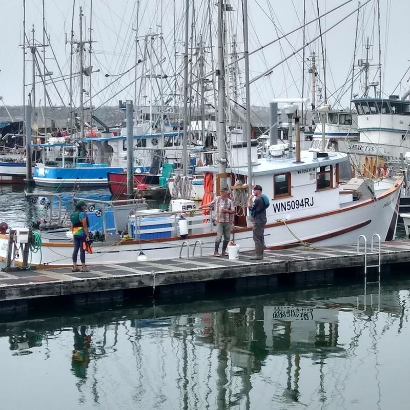 Ilwaco: Small-Scale Fishing Port Struggling With Big Tourist Demands