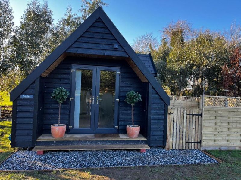 Wildflower Meadow Cabin: Spring Mountain Magic